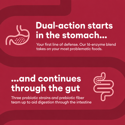 Primeluxe Supps™ SuperDigest Digestive Enzyme Support